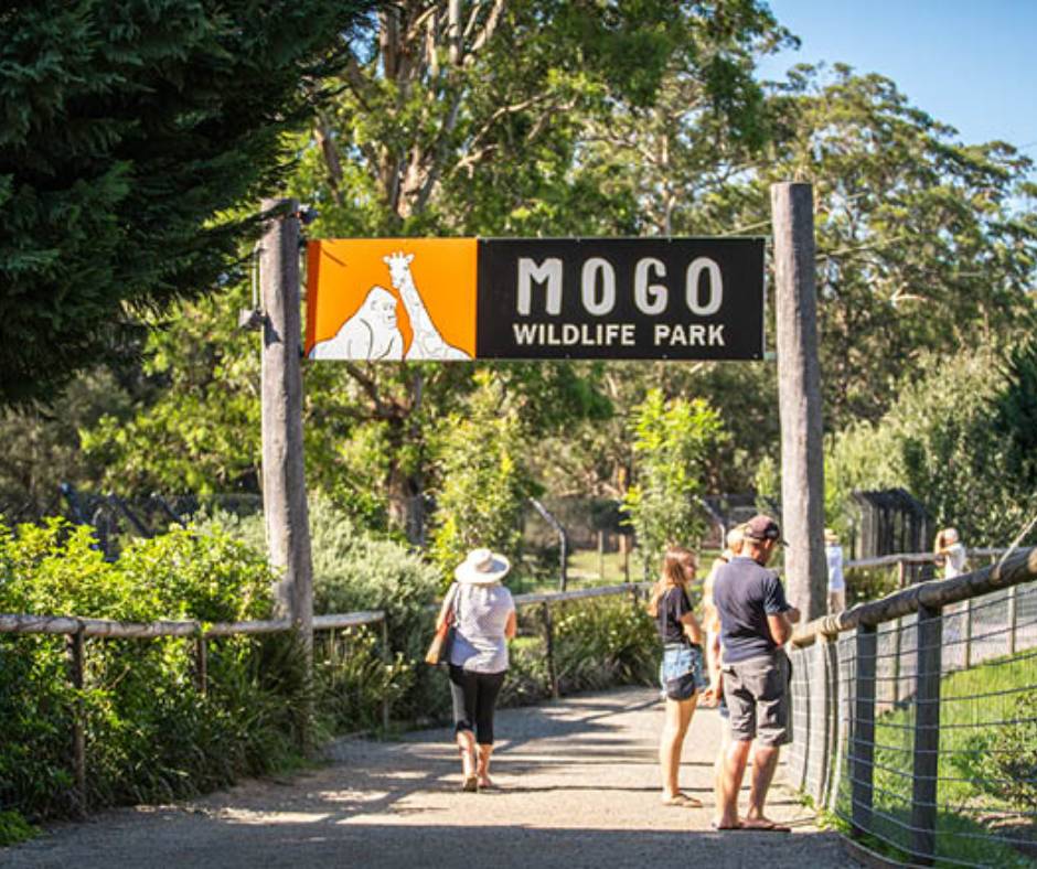 JHDA: Mogo Zoo (05-09-26)